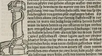 Picture 20 of 88 from Itinerarium (1484), leaf 48