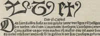 Picture 25 of 88 from Itinerarium (1484), leaf 60