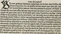 Picture 27 of 88 from Itinerarium (1484), leaf 62