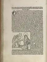 An illustration from Itinerarium (1484)