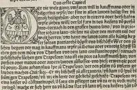 Picture 34 of 88 from Itinerarium (1484), leaf 76