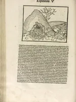 Picture 76 of 119 from Directorium humanae vite, alias Parabole antiquoru[m] sapientu[m] (1488), leaf 113