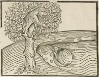 An illustration from Directorium humanae vite, alias Parabole antiquoru[m] sapientu[m] (1488)