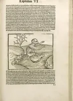 Picture 79 of 119 from Directorium humanae vite, alias Parabole antiquoru[m] sapientu[m] (1488), leaf 118