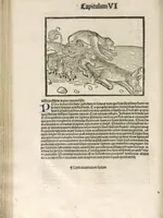 An illustration from Directorium humanae vite, alias Parabole antiquoru[m] sapientu[m] (1488)