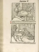 Picture 82 of 119 from Directorium humanae vite, alias Parabole antiquoru[m] sapientu[m] (1488), leaf 123