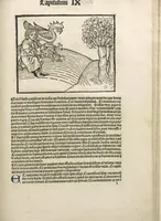 An illustration from Directorium humanae vite, alias Parabole antiquoru[m] sapientu[m] (1488)