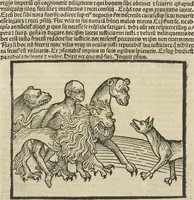 An illustration from Directorium humanae vite, alias Parabole antiquoru[m] sapientu[m] (1488)