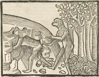 An illustration from Directorium humanae vite, alias Parabole antiquoru[m] sapientu[m] (1488)