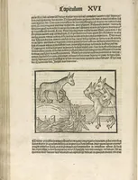 Picture 115 of 119 from Directorium humanae vite, alias Parabole antiquoru[m] sapientu[m] (1488), leaf 165