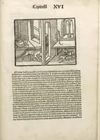 Picture 117 of 119 from Directorium humanae vite, alias Parabole antiquoru[m] sapientu[m] (1488), leaf 168