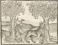 An illustration from Directorium humanae vite, alias Parabole antiquoru[m] sapientu[m] (1488)