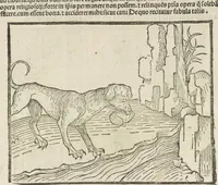 An illustration from Directorium humanae vite, alias Parabole antiquoru[m] sapientu[m] (1488)