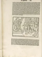Picture 12 of 119 from Directorium humanae vite, alias Parabole antiquoru[m] sapientu[m] (1488), leaf 31