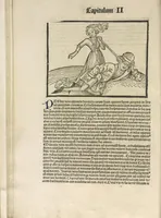 Picture 15 of 119 from Directorium humanae vite, alias Parabole antiquoru[m] sapientu[m] (1488), leaf 35