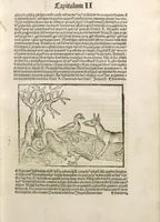 An illustration from Directorium humanae vite, alias Parabole antiquoru[m] sapientu[m] (1488)