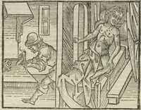 An illustration from Directorium humanae vite, alias Parabole antiquoru[m] sapientu[m] (1488)