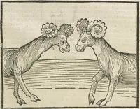 An illustration from Directorium humanae vite, alias Parabole antiquoru[m] sapientu[m] (1488)