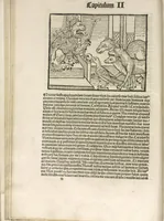 Picture 26 of 119 from Directorium humanae vite, alias Parabole antiquoru[m] sapientu[m] (1488), leaf 49