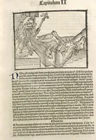 An illustration from Directorium humanae vite, alias Parabole antiquoru[m] sapientu[m] (1488)