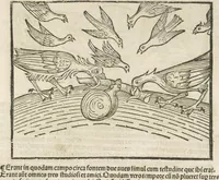 An illustration from Directorium humanae vite, alias Parabole antiquoru[m] sapientu[m] (1488)