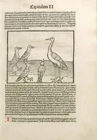Picture 31 of 119 from Directorium humanae vite, alias Parabole antiquoru[m] sapientu[m] (1488), leaf 54