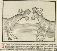 An illustration from Directorium humanae vite, alias Parabole antiquoru[m] sapientu[m] (1488)