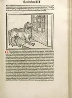 An illustration from Directorium humanae vite, alias Parabole antiquoru[m] sapientu[m] (1488)