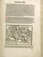 Picture 53 of 119 from Directorium humanae vite, alias Parabole antiquoru[m] sapientu[m] (1488), leaf 82