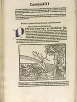An illustration from Directorium humanae vite, alias Parabole antiquoru[m] sapientu[m] (1488)