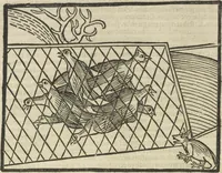 An illustration from Directorium humanae vite, alias Parabole antiquoru[m] sapientu[m] (1488)