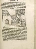 Picture 58 of 119 from Directorium humanae vite, alias Parabole antiquoru[m] sapientu[m] (1488), leaf 88