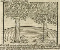 An illustration from Directorium humanae vite, alias Parabole antiquoru[m] sapientu[m] (1488)