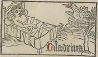 Picture 10 of 51 from De generatione Christi, sive Defensorium inviolatae castitatis B.V. Mariae (1476), leaf 25