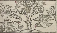 Picture 15 of 51 from De generatione Christi, sive Defensorium inviolatae castitatis B.V. Mariae (1476), leaf 30