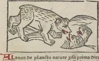 Picture 25 of 51 from De generatione Christi, sive Defensorium inviolatae castitatis B.V. Mariae (1476), leaf 41