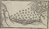 Picture 28 of 51 from De generatione Christi, sive Defensorium inviolatae castitatis B.V. Mariae (1476), leaf 44