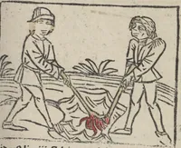 Picture 34 of 51 from De generatione Christi, sive Defensorium inviolatae castitatis B.V. Mariae (1476), leaf 50