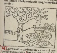 Picture 38 of 51 from De generatione Christi, sive Defensorium inviolatae castitatis B.V. Mariae (1476), leaf 54