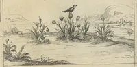 Picture 14 of 27 from Lvx clavstri, La lvmiere dv cloistre (1646), leaf 34