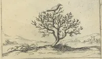 Picture 15 of 27 from Lvx clavstri, La lvmiere dv cloistre (1646), leaf 36