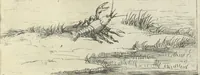 Picture 19 of 27 from Lvx clavstri, La lvmiere dv cloistre (1646), leaf 44