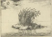 Picture 27 of 27 from Lvx clavstri, La lvmiere dv cloistre (1646), leaf 62