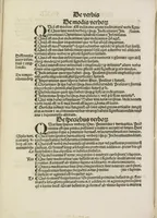 Picture 8 of 53 from Gra[m]matica Nicolai Perotti, (1497), leaf 24