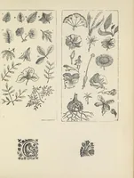 An illustration from Specimens of early wood engraving : being impressions of woodcuts from the collection of Mr. Charnley, Newcastle (1858)