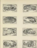 Picture 69 of 86 from Specimens of early wood engraving : being impressions of woodcuts from the collection of Mr. Charnley, Newcastle (1858), leaf 156