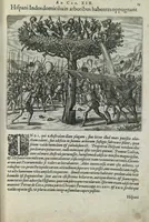 An illustration from Americae pars sexta, sive, Historiae ab Hieronymo Be[n]zono Mediolane[n]se scriptae, sectio tertia, res no[n] minus nobiles & admiratione plenas continens, quàm praecedentes duae : in hac enim reperies, qua ratione Hispani opule[n]tissimas illas Peruäni regni provincias occuparint, capto Rege Atabaliba, dei[n]de orta inter ipsos Hispanos in eo regno civilia bella : additus est brevis de Fortunatis insulis co[m]mentariolus in duo capita distinctus : item additiones ad singula capita historiam illustrantes : accessit Peruäni regni chorographica tabula (1596)