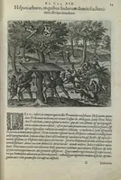 Picture 38 of 42 from Americae pars sexta, sive, Historiae ab Hieronymo Be[n]zono Mediolane[n]se scriptae, sectio tertia, res no[n] minus nobiles & admiratione plenas continens, quàm praecedentes duae : in hac enim reperies, qua ratione Hispani opule[n]tissimas illas Peruäni regni provincias occuparint, capto Rege Atabaliba, dei[n]de orta inter ipsos Hispanos in eo regno civilia bella : additus est brevis de Fortunatis insulis co[m]mentariolus in duo capita distinctus : item additiones ad singula capita historiam illustrantes : accessit Peruäni regni chorographica tabula (1596), leaf 168