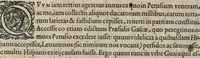 An illustration from Americae pars sexta, sive, Historiae ab Hieronymo Be[n]zono Mediolane[n]se scriptae, sectio tertia, res no[n] minus nobiles & admiratione plenas continens, quàm praecedentes duae : in hac enim reperies, qua ratione Hispani opule[n]tissimas illas Peruäni regni provincias occuparint, capto Rege Atabaliba, dei[n]de orta inter ipsos Hispanos in eo regno civilia bella : additus est brevis de Fortunatis insulis co[m]mentariolus in duo capita distinctus : item additiones ad singula capita historiam illustrantes : accessit Peruäni regni chorographica tabula (1596)