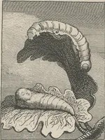Picture 1 of 19 from For the sexes: the gates of Paradise (1913), leaf 3